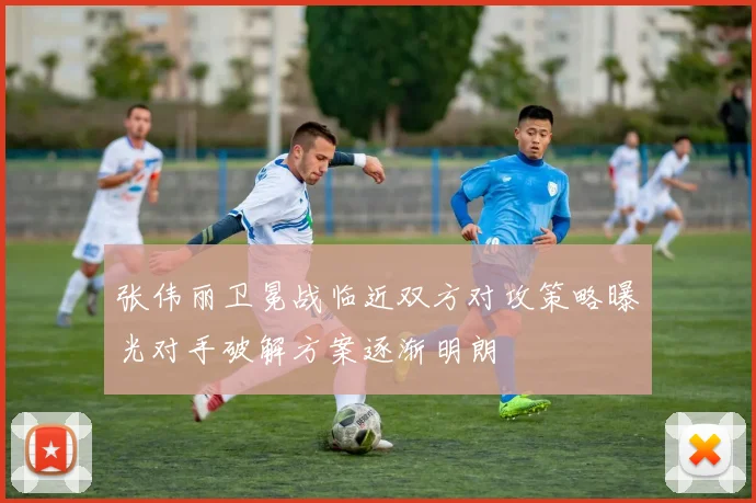 张伟丽卫冕战临近双方对攻策略曝光对手破解方案逐渐明朗