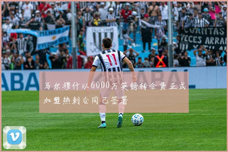 马尔穆什以6000万英镑转会费正式加盟热刺合同已签署